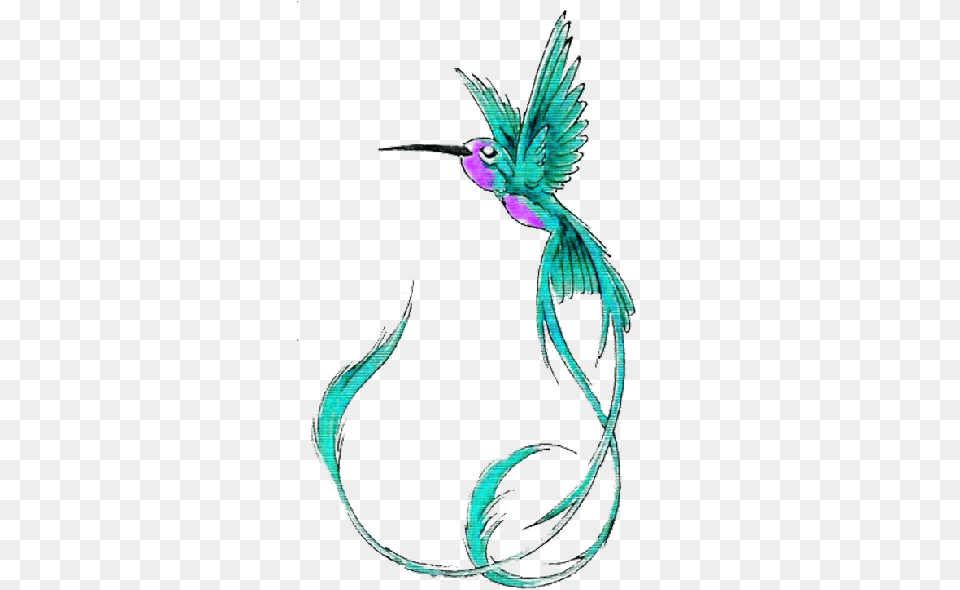 Hummingbird Tattoos Picture Long Tail Hummingbird Tattoo, Animal, Beak, Bird, Plant Free Transparent Png