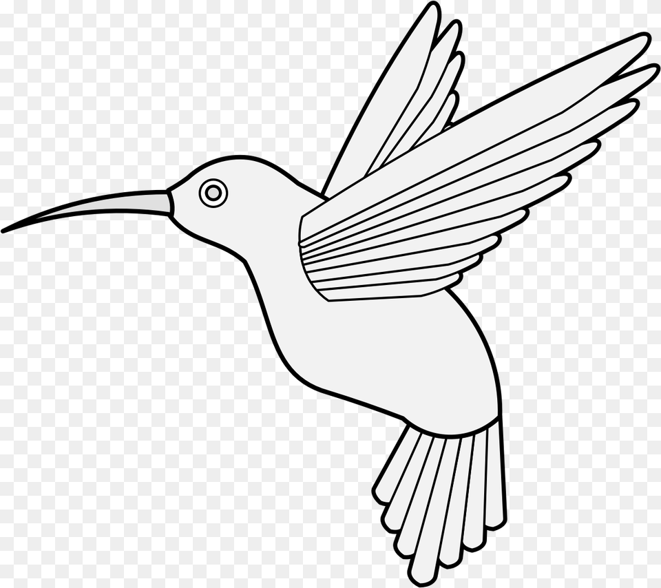 Hummingbird Traceable Heraldic Art Hummingbird Pdf, Animal, Bird, Flying, Blade Free Png