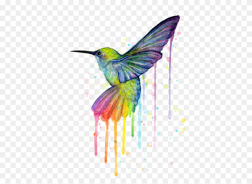Hummingbird Hummingbird Of Watercolor Rainbow, Purple, Animal, Bird, Art Free Transparent Png