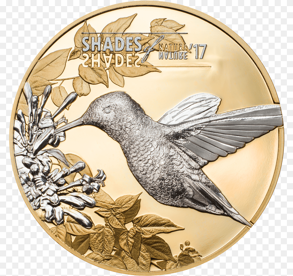 Hummingbird U2013 Cit Coin Invest Ag Hummingbird Silver Coin, Animal, Bird, Gold, Money Free Png
