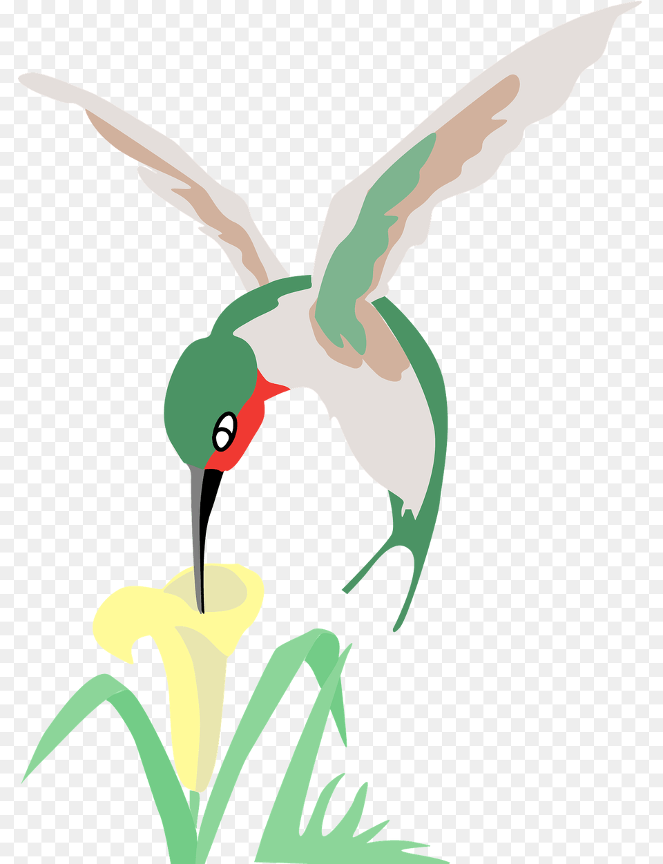 Hummingbird With Flower Clipart, Animal, Beak, Bird Png