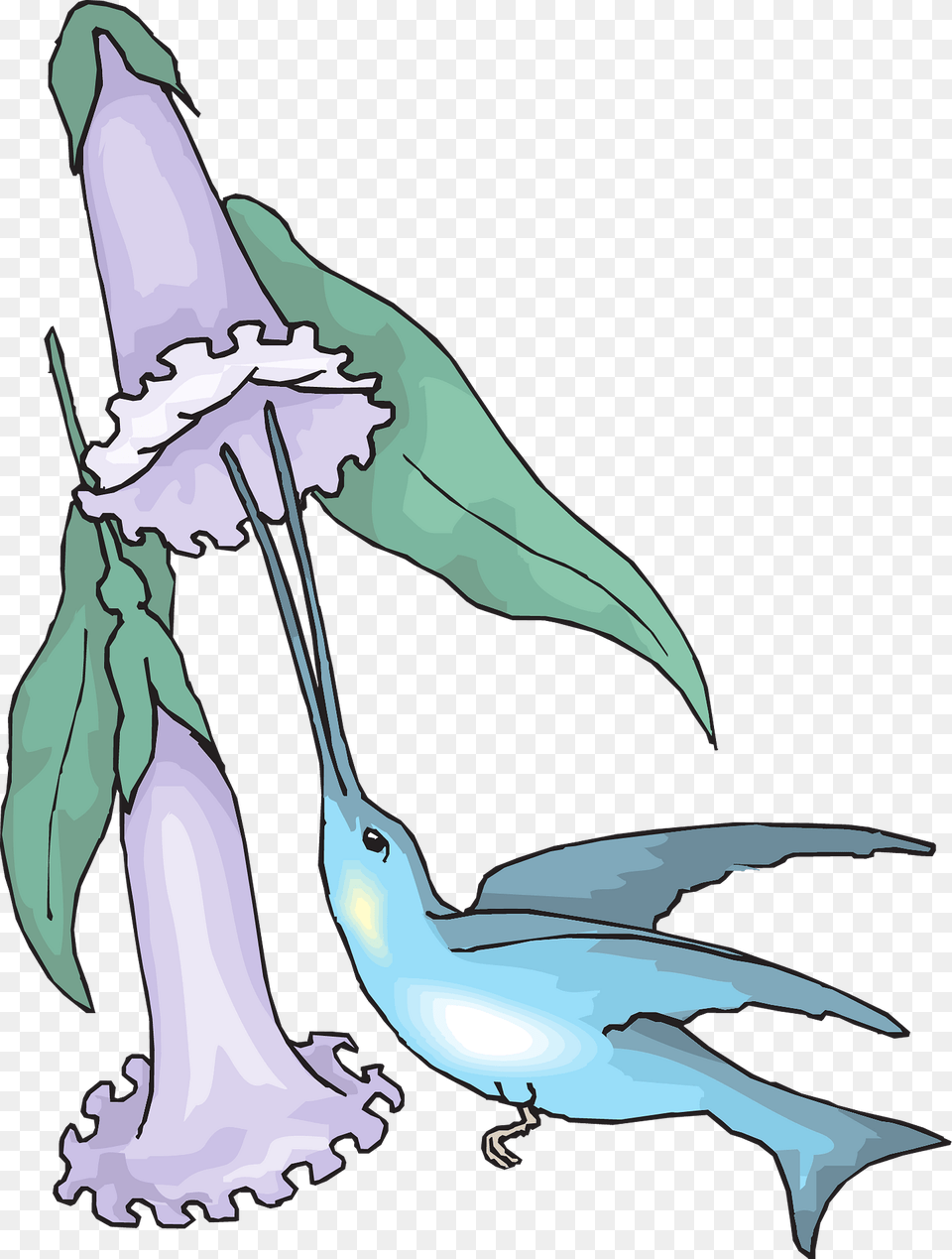 Hummingbird With Flowers Clipart, Animal, Sea Life, Fish, Mammal Free Transparent Png