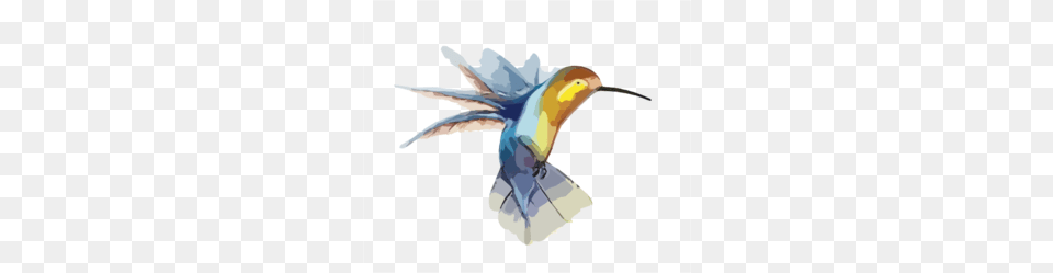 Hummingbird With Transparent Background Clip Art, Animal, Bird, Flying Png Image