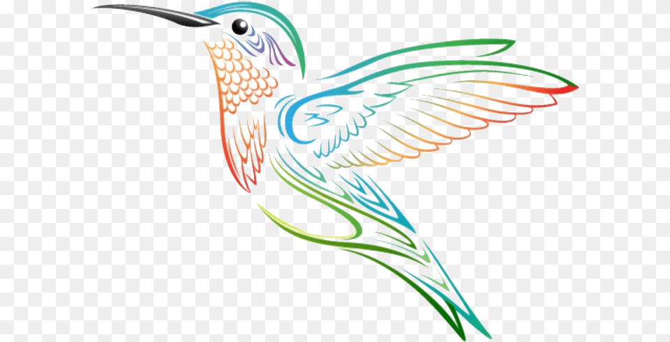 Hummingbird Yoga Studio Imagenes Del Colibri Animada, Animal, Bird, Dinosaur, Reptile Png Image