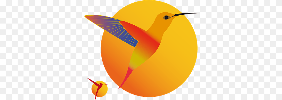 Hummingbirds Animal, Sphere, Bird Png Image