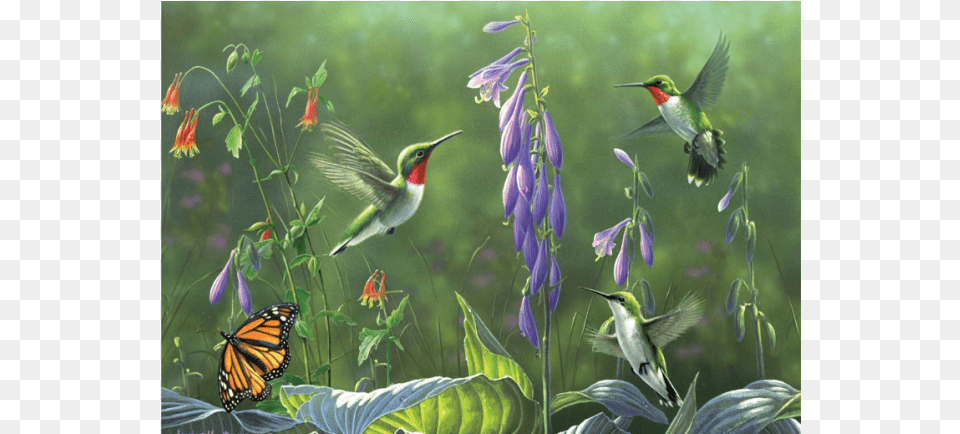 Hummingbirds Amp Hosta Buffalo Games Hautman Brothers Hummingbirds And Hosta, Animal, Bird, Flying, Outdoors Free Transparent Png