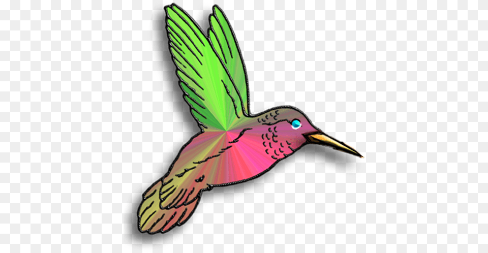 Hummingbirds And Art Pictures Of Hummingbirds, Animal, Bird, Hummingbird, Fish Free Png Download