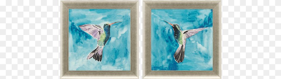 Hummingbirds Pk2 Kunstdruk Watercolor Hummingbird Ii By Grace Popp, Animal, Bird, Art, Modern Art Png