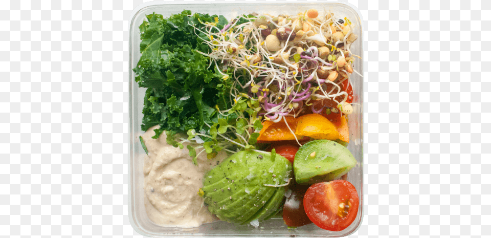 Hummus Bowl Recipe, Meal, Food, Lunch, Sprout Png