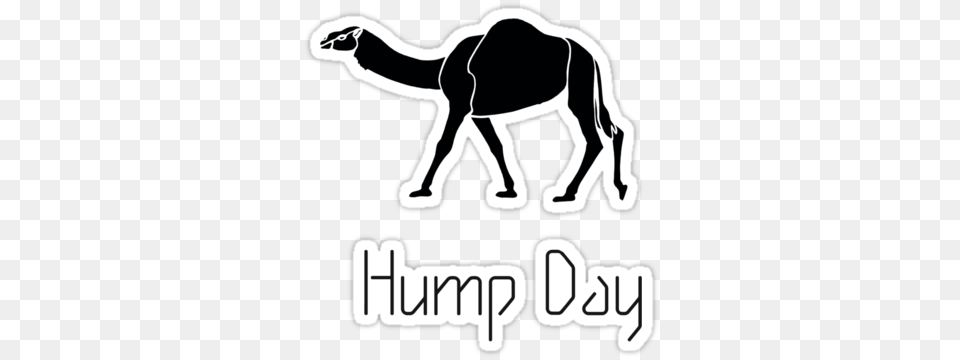 Hump Day Camel Sticker, Animal, Mammal, Horse, Stencil Free Png Download