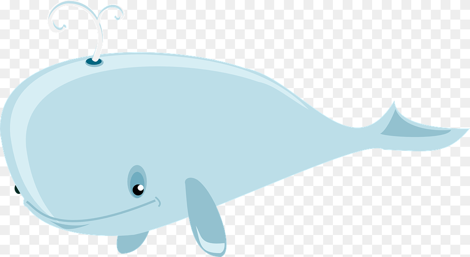 Humpback Blowhole Free Vector Graphic On Pixabay Cartoon Whale No Background, Animal, Sea Life, Mammal, Hot Tub Png