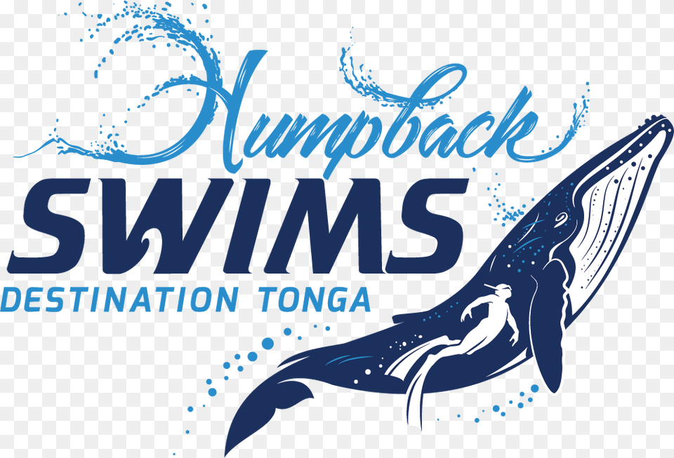 Humpback Whale, Animal, Mammal, Sea Life, Dinosaur Png