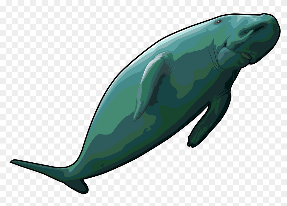 Humpback Whale Clip Art Movieweb, Animal, Mammal, Fish, Sea Life Free Transparent Png