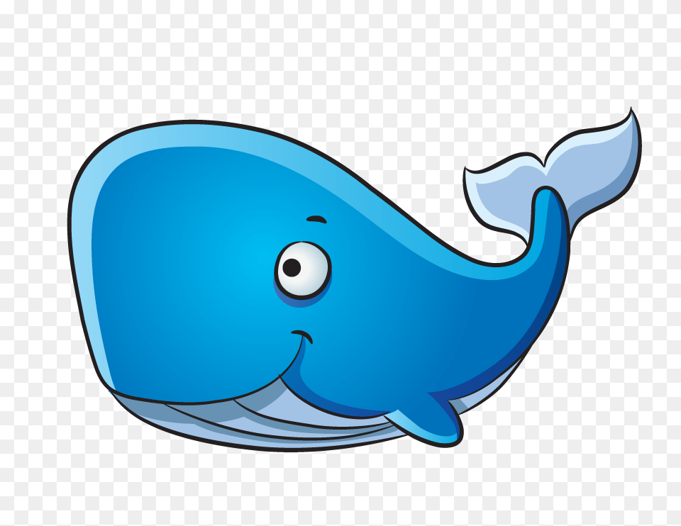 Humpback Whale Clipart Porpoise, Animal, Mammal, Sea Life, Fish Png