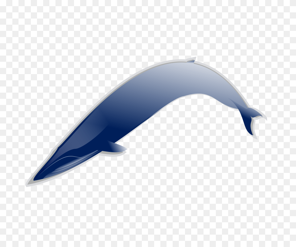Humpback Whale Drawings For Sale, Animal, Sea Life, Dolphin, Mammal Free Transparent Png