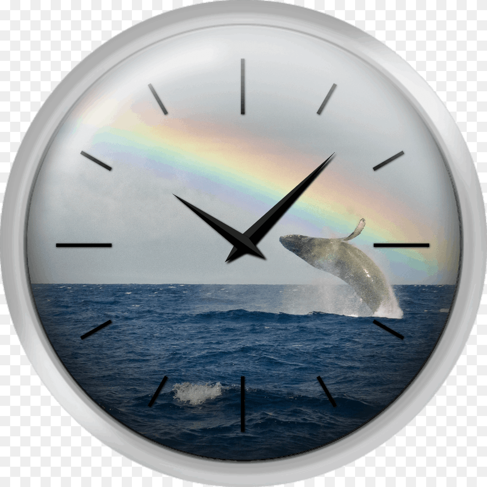 Humpback Whale Rainbow Breach Wall Clock, Analog Clock, Aircraft, Airplane, Transportation Free Png Download