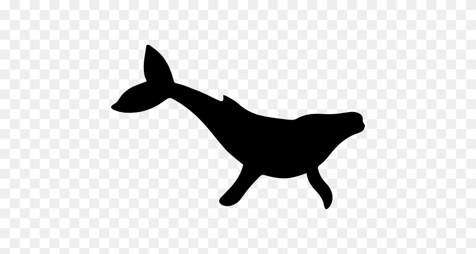 Humpback Whale Shape, Silhouette, Animal, Kangaroo, Mammal Free Png Download