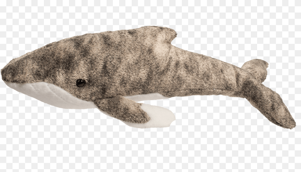 Humpback Whale Stuffed Toy, Animal, Mammal, Sea Life, Bear Free Transparent Png