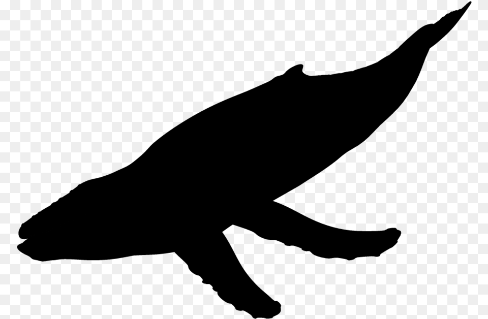 Humpback Whales Unicorn Silhouette Head, Gray Free Transparent Png