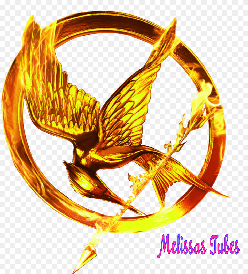 Hunger Games Clip Art Look, Animal, Bird, Emblem, Symbol Free Png