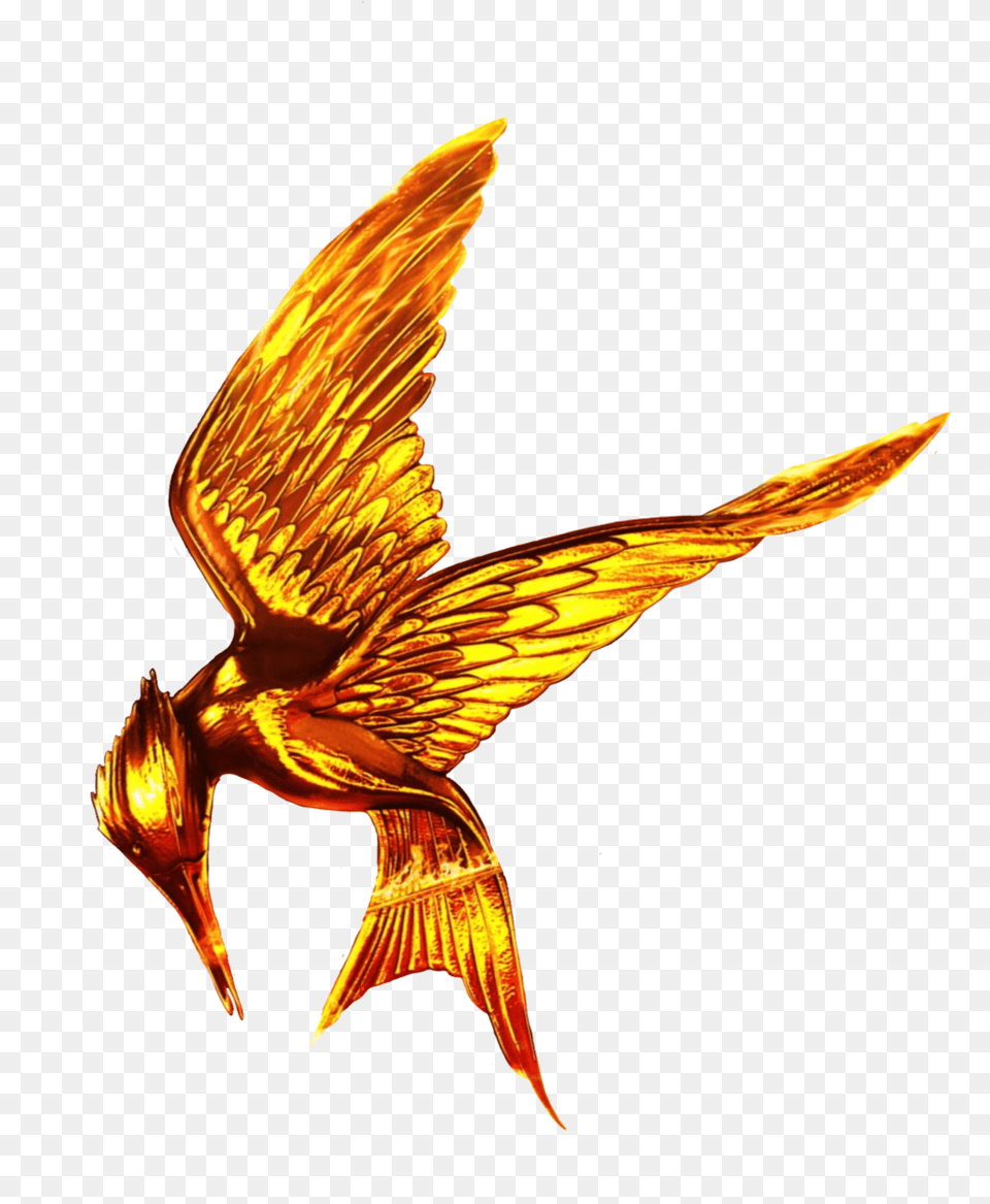 Hunger Games Free Download Transparent Hunger Games Logo, Animal, Bird Png Image