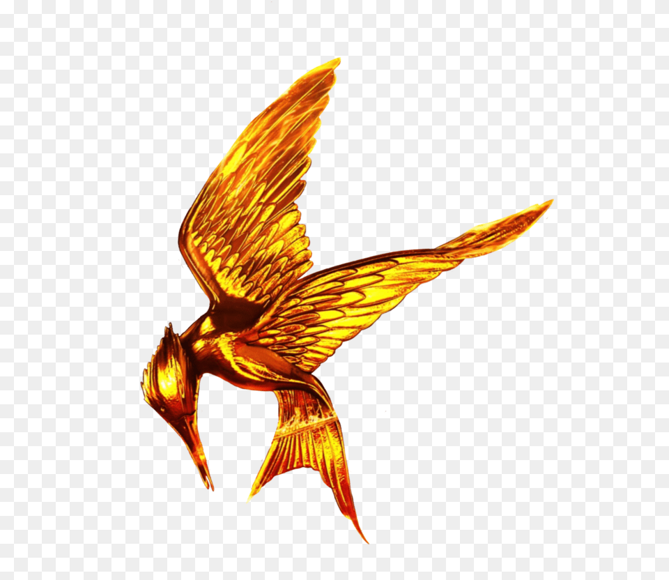 Hunger Games Hunger Games Mockingjay Transparent, Animal, Bird Free Png