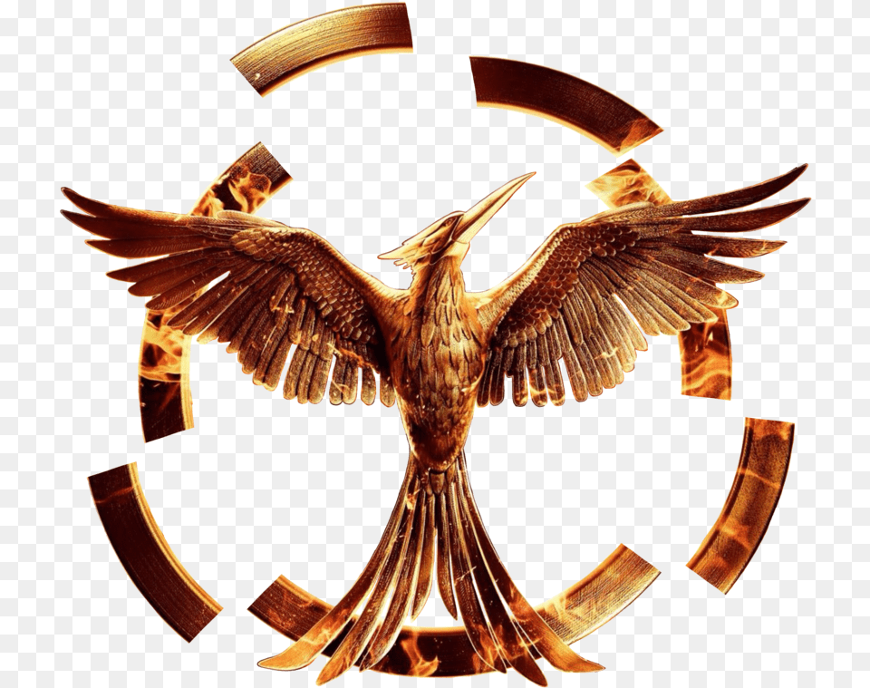 Hunger Games Mockingjay, Bronze, Animal, Bird, Emblem Free Transparent Png