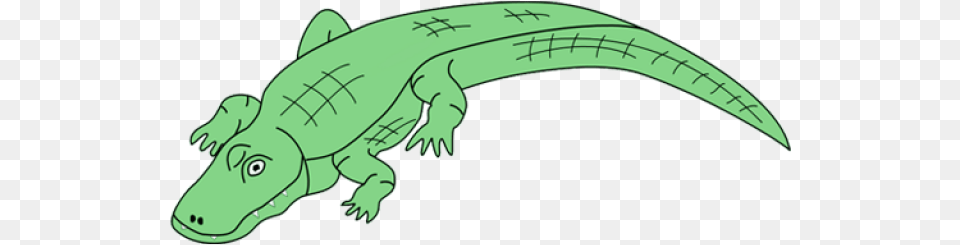 Hungry Clipart Alligator, Animal, Reptile, Crocodile Png Image