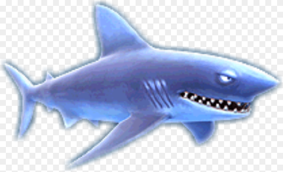 Hungry Shark Wiki Hungry Shark Evolution, Animal, Fish, Sea Life Free Transparent Png