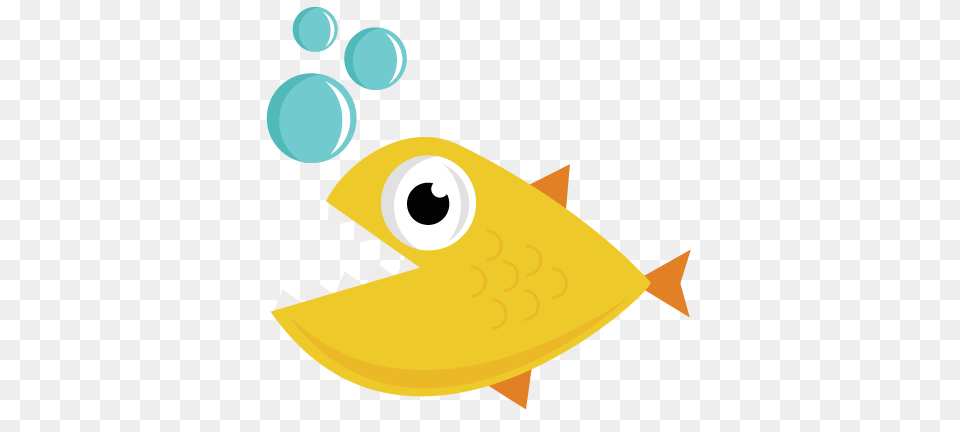 Hungry Hungry Images, Animal, Fish, Sea Life, Shark Free Transparent Png