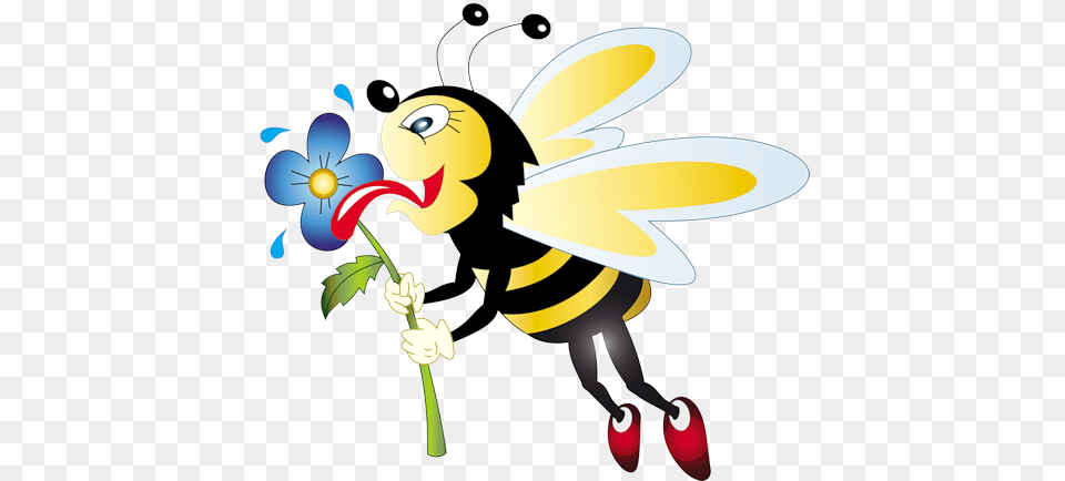 Hunny Bee Clipart, Animal, Honey Bee, Insect, Invertebrate Png