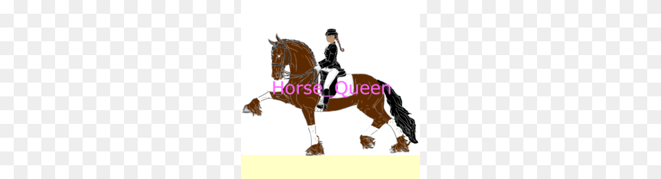 Hunt Seat Clipart, People, Person, Animal, Equestrian Free Png Download