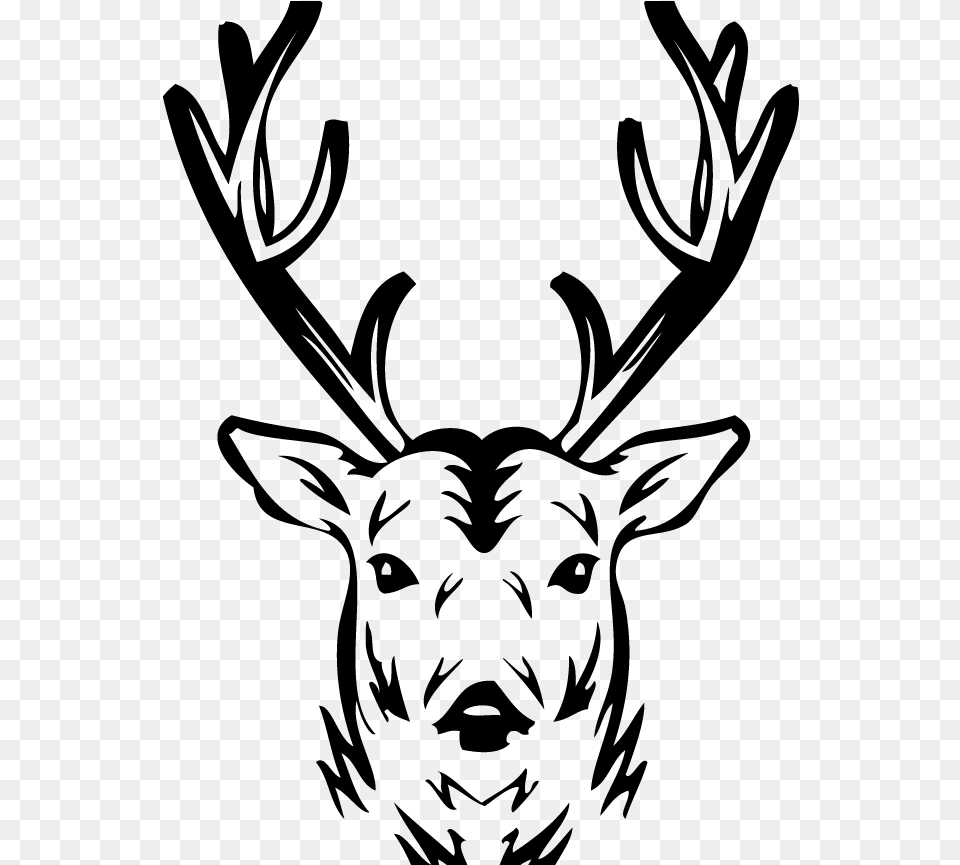 Hunters Classifieds Elk, Gray Free Png