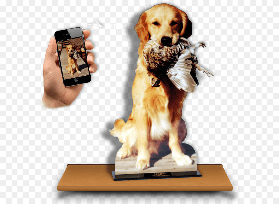 Hunting Dog Photo Cutout Trophy Photo Of Lasertrophy Dog Catches Something, Electronics, Phone, Animal, Canine Free Png