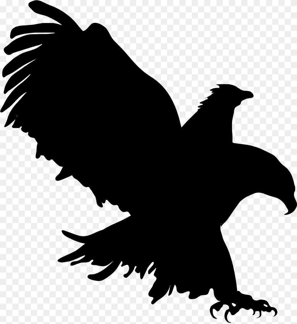 Hunting Eagle Silhouette, Animal, Bird, Vulture, Person Free Transparent Png