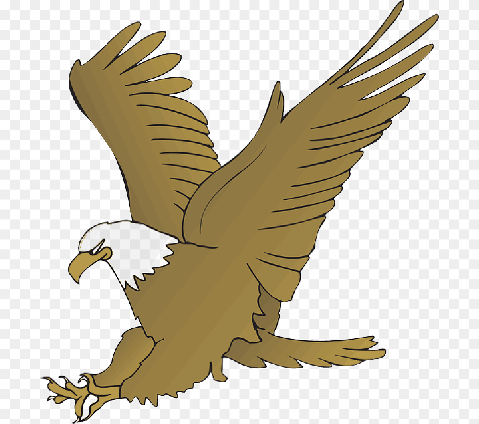 Hunting Eagle Svg Clip Arts Animated Picture Of Eagle, Animal, Bird Png