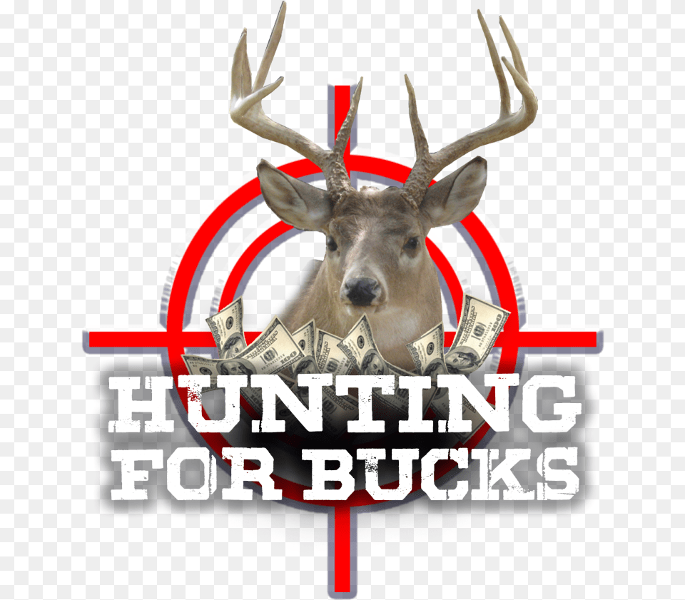 Hunting For Bucks Sca Gaming Reindeer, Animal, Deer, Mammal, Wildlife Png
