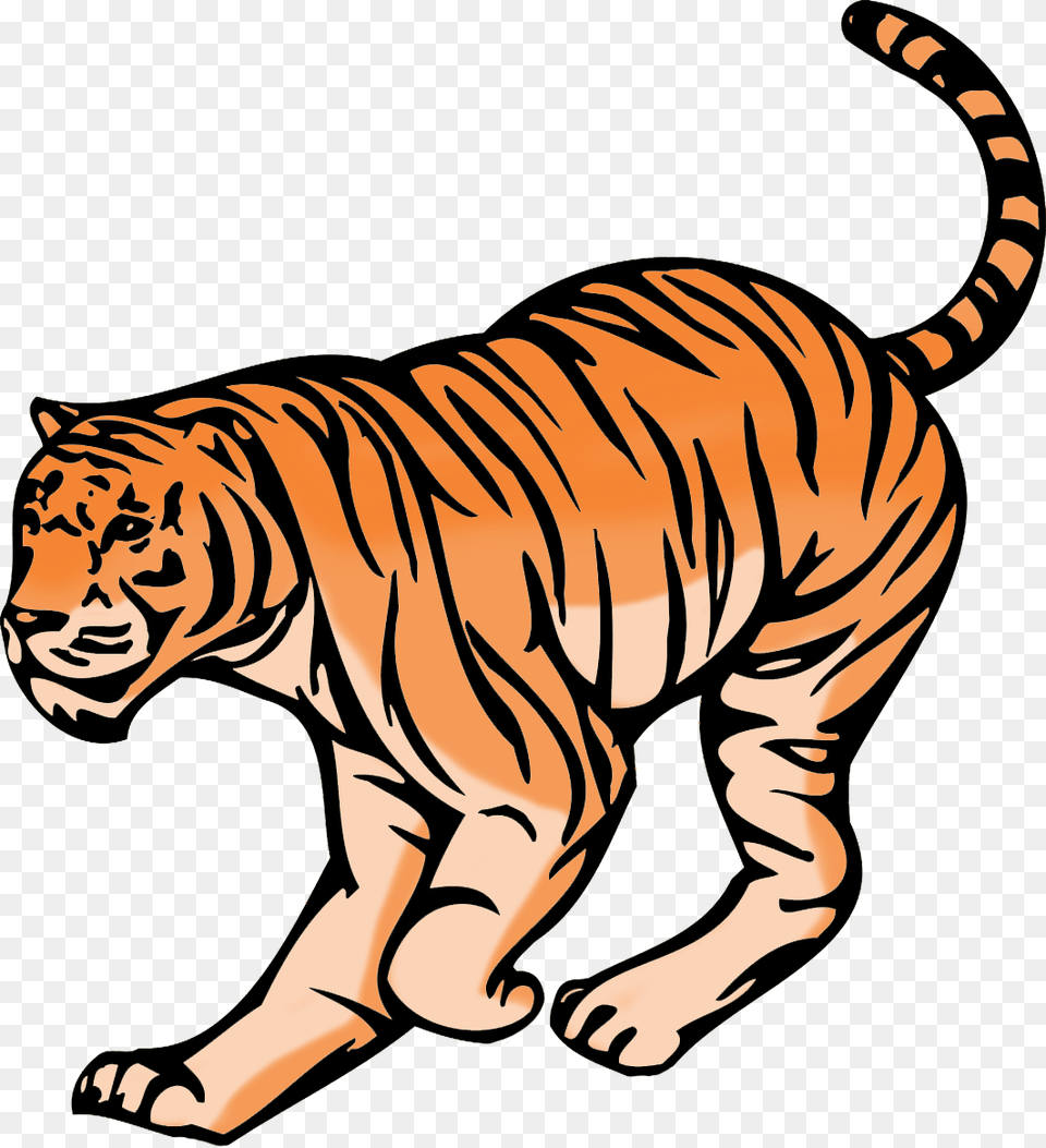 Hunting Tiger Clipart Siberian Tiger, Animal, Mammal, Wildlife Free Transparent Png