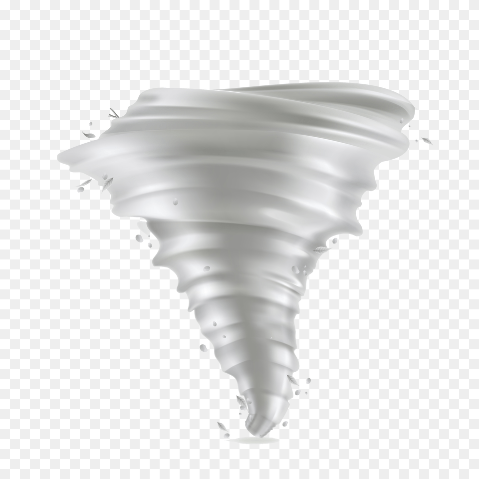 Hurricane, Animal, Invertebrate, Sea Life, Seashell Free Transparent Png