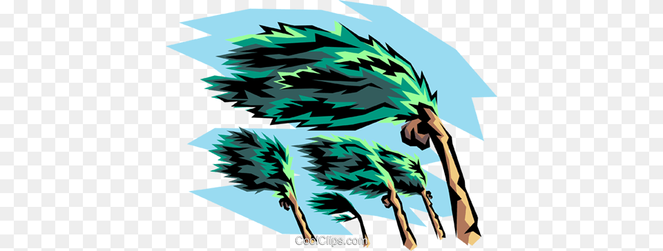 Hurricane Clipart Hurricane Symbol Cute Borders Vectors Animated, Vegetation, Tree, Plant, Outdoors Free Transparent Png