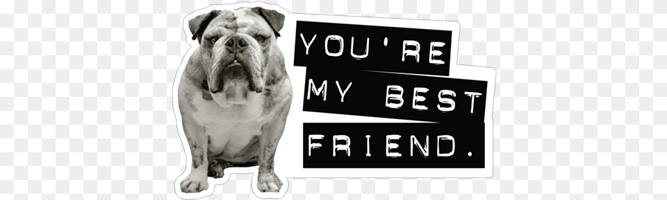 Husband Sticker Marianne Design Clear Stamp True Friends, Animal, Bulldog, Canine, Dog Free Transparent Png