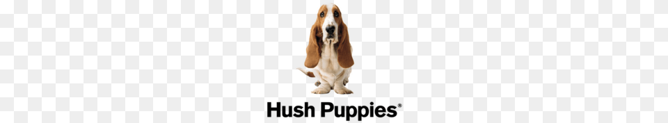 Hush Puppies, Snout, Animal, Canine, Dog Free Png Download
