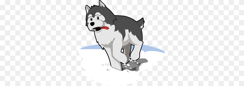 Husky Animal, Canine, Dog, Mammal Png