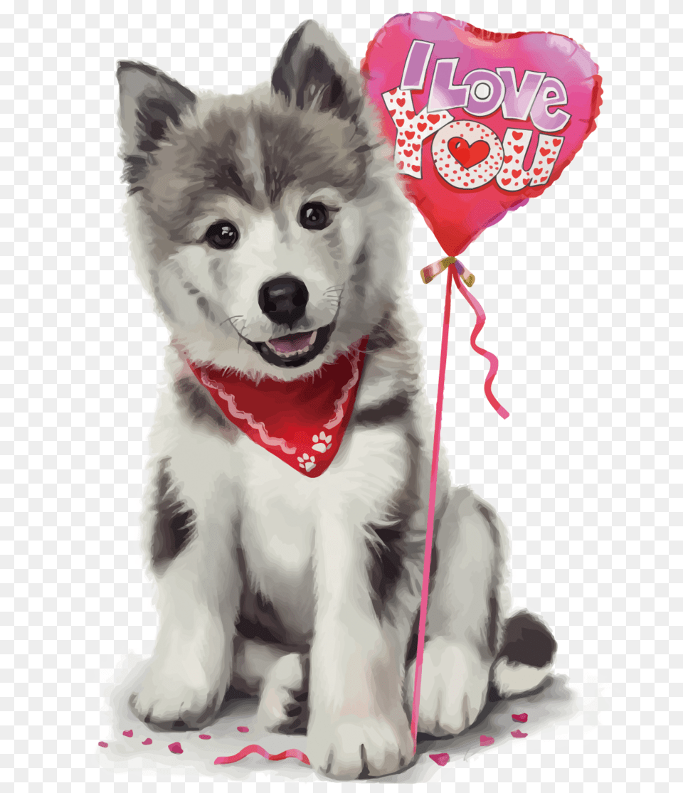 Husky, Animal, Canine, Dog, Mammal Free Png