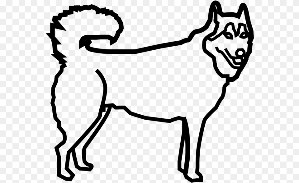 Husky Dog Companion Dog, Gray Free Png Download