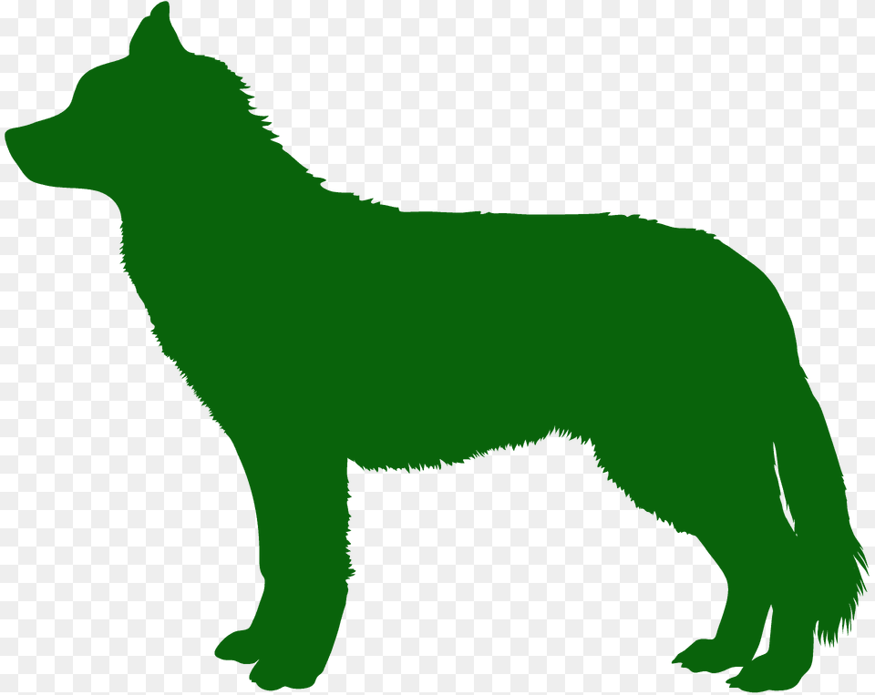 Husky Dog Silhouette, Animal, Mammal, Wolf, Coyote Free Transparent Png