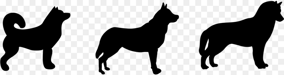 Husky Dog Silhouette Picture, Gray Png