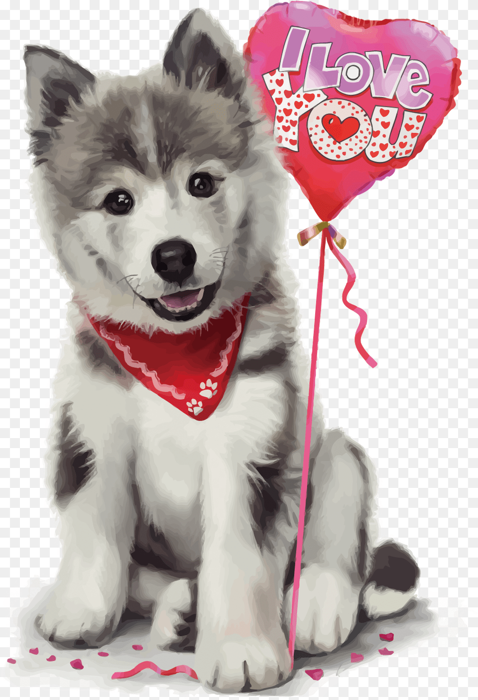 Husky Animal, Canine, Dog, Mammal Free Transparent Png