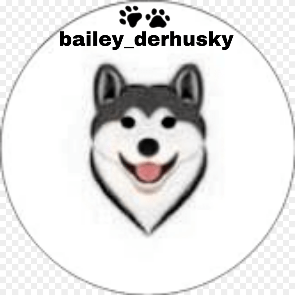 Husky Huskygirl Huskypuppy Sticker By Sofial0203 Canadian Eskimo Dog, Animal, Canine, Mammal, Pet Png