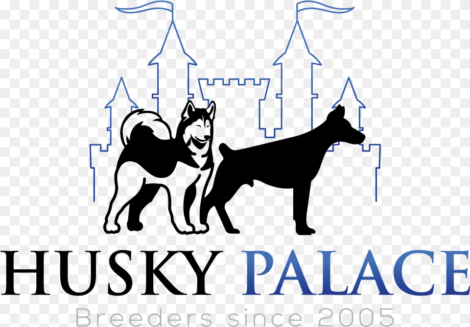 Husky Palace Logo Taj Falaknuma Logo, City, Lighting, Text Free Png